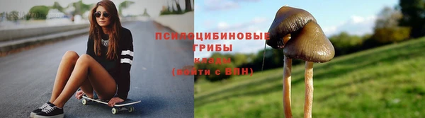 герыч Иннополис