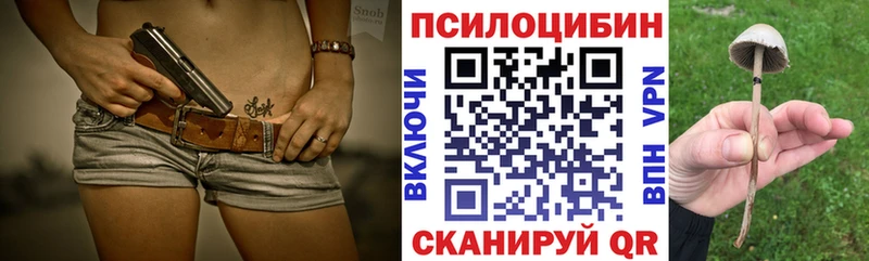 Псилоцибиновые грибы Psilocybine cubensis  Купить где  Кандалакша 